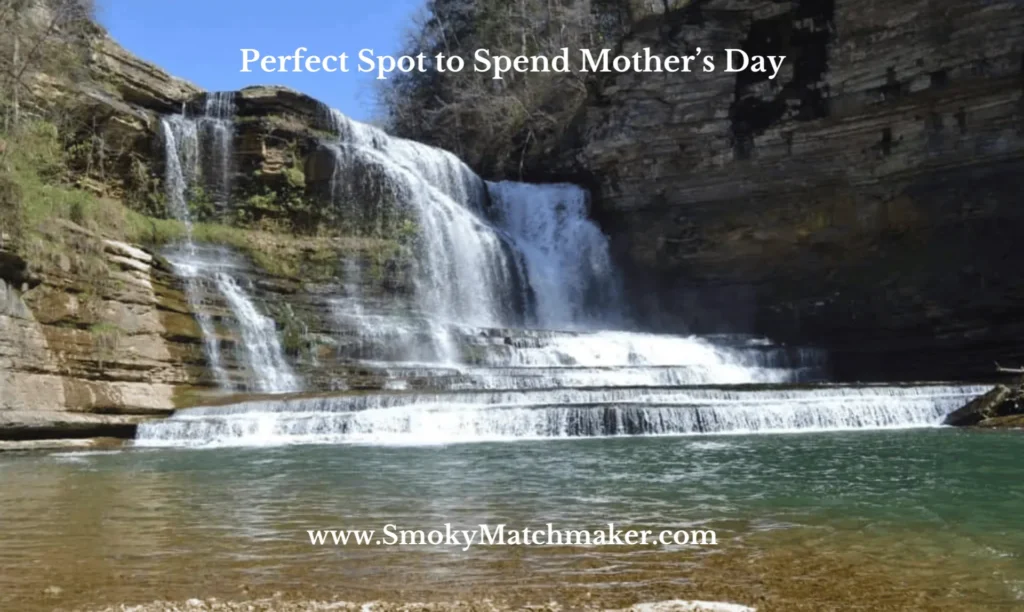 Honoring Single Moms: A Mother's Day Tribute Worth Celebrating